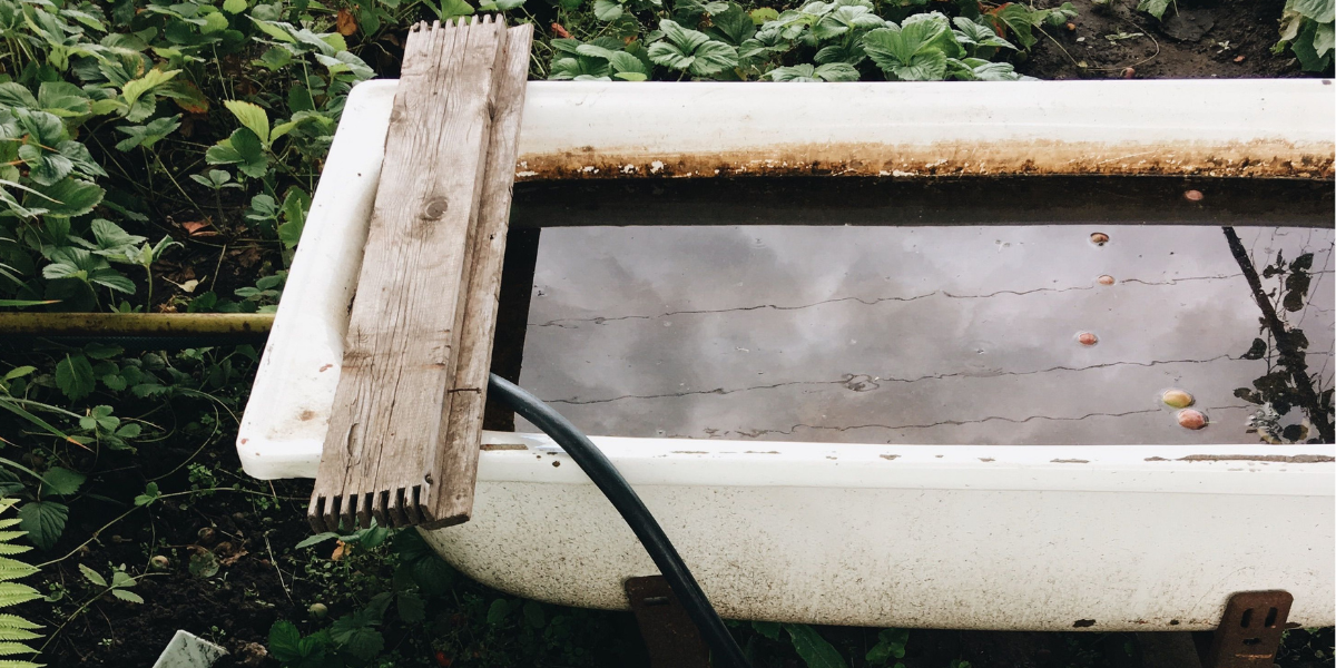 Water on an allotment